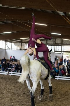 Bild 782 - Voltigierturnier